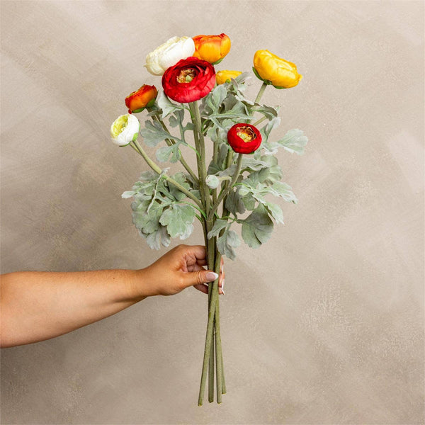 Stem - Ranunculus