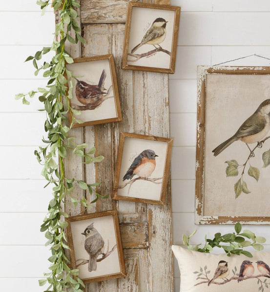 Birds with Names Prints