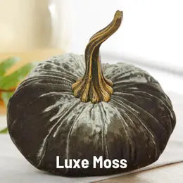 Large Velvet Pumpkins