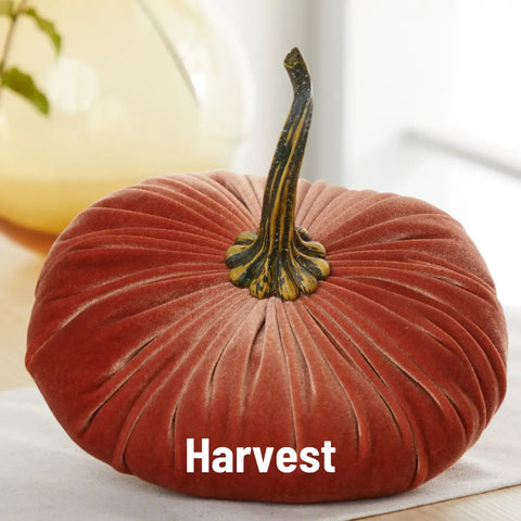 Small Velvet Pumpkins