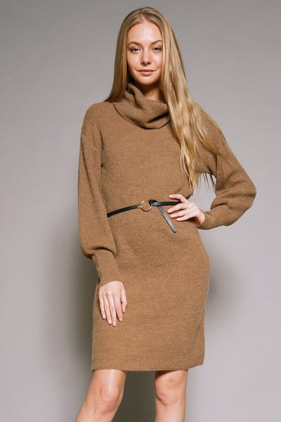 Turtle Neck Dress