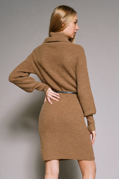 Turtle Neck Dress