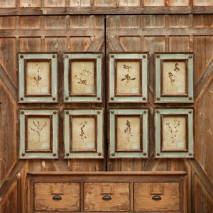 Botanical Prints