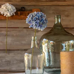 *Hydrangeas 3 colors