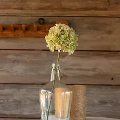 *Hydrangeas 3 colors