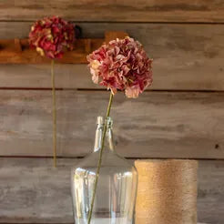 *Hydrangeas 3 colors