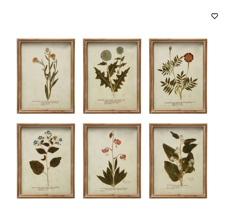 Plant prints