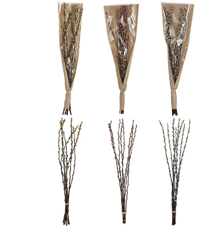 *Pussy Willow Branches
