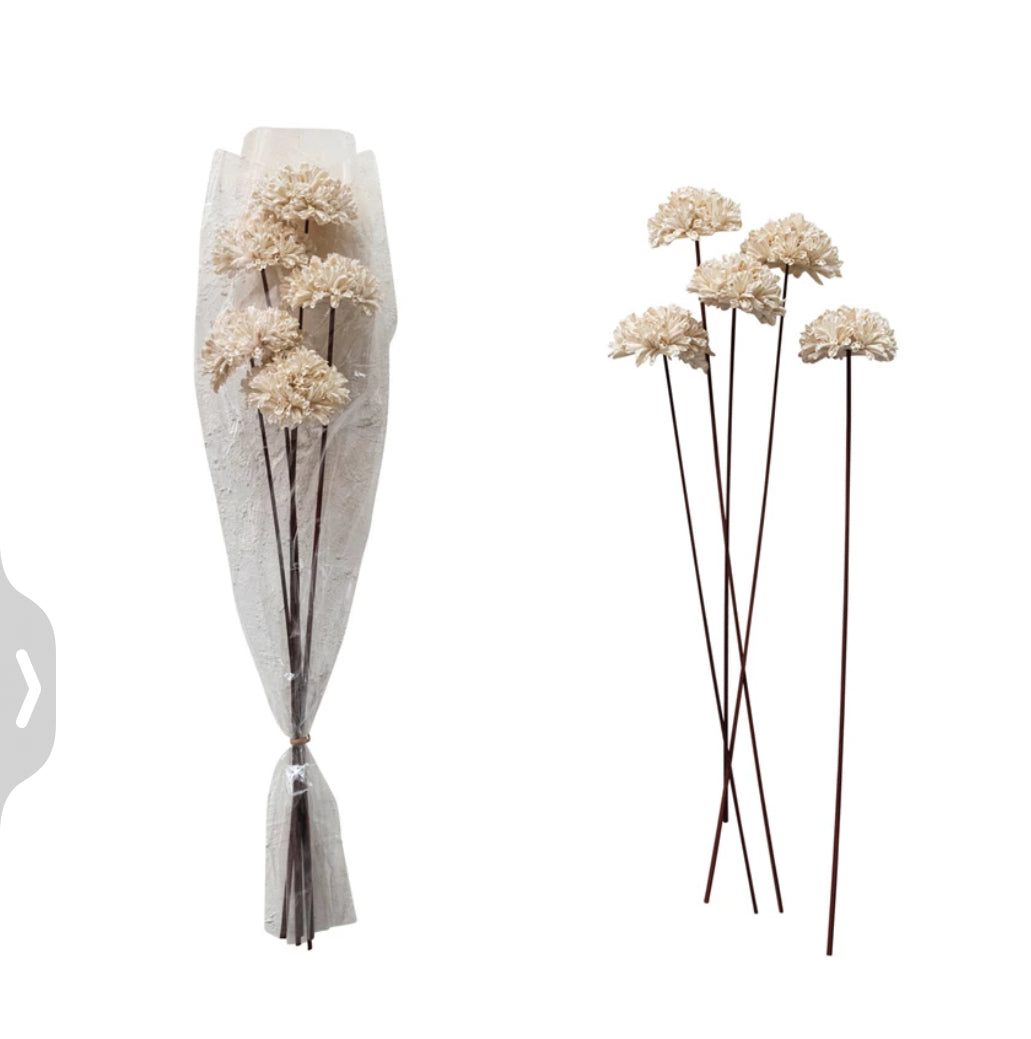 *Sesame Seed Flower bunch