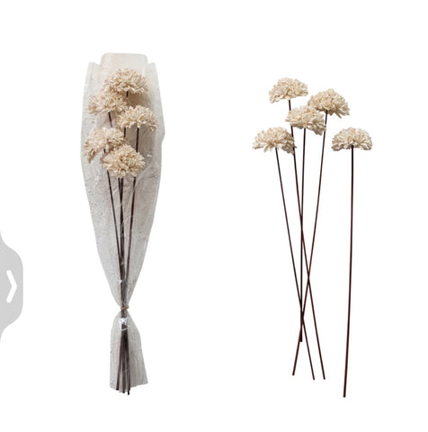 *Sesame Seed Flower bunch