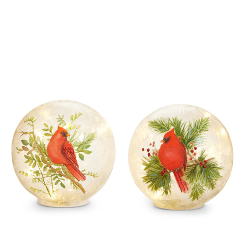 *Cardinal on Branch Ball