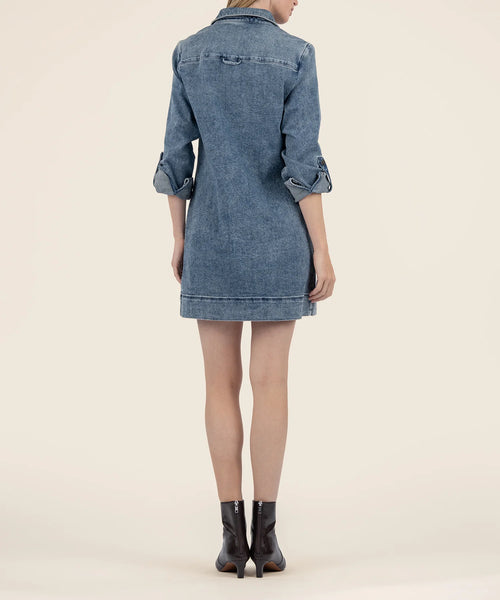 Anika Denim Dress