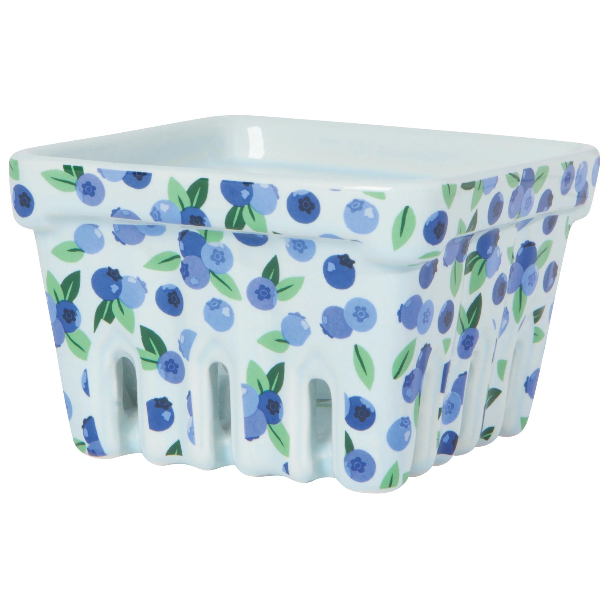 Blueberry Basket