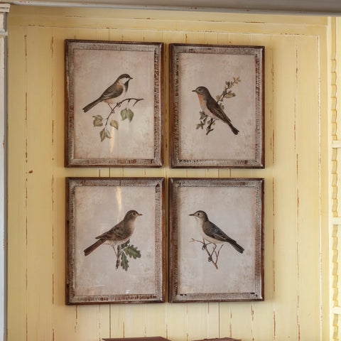 Framed Song Bird Prints