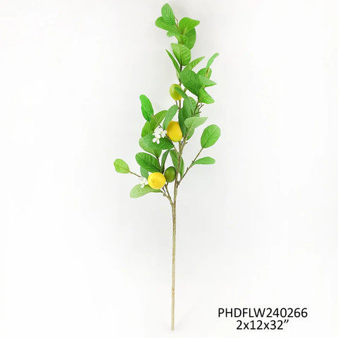Italian Lemon Branch