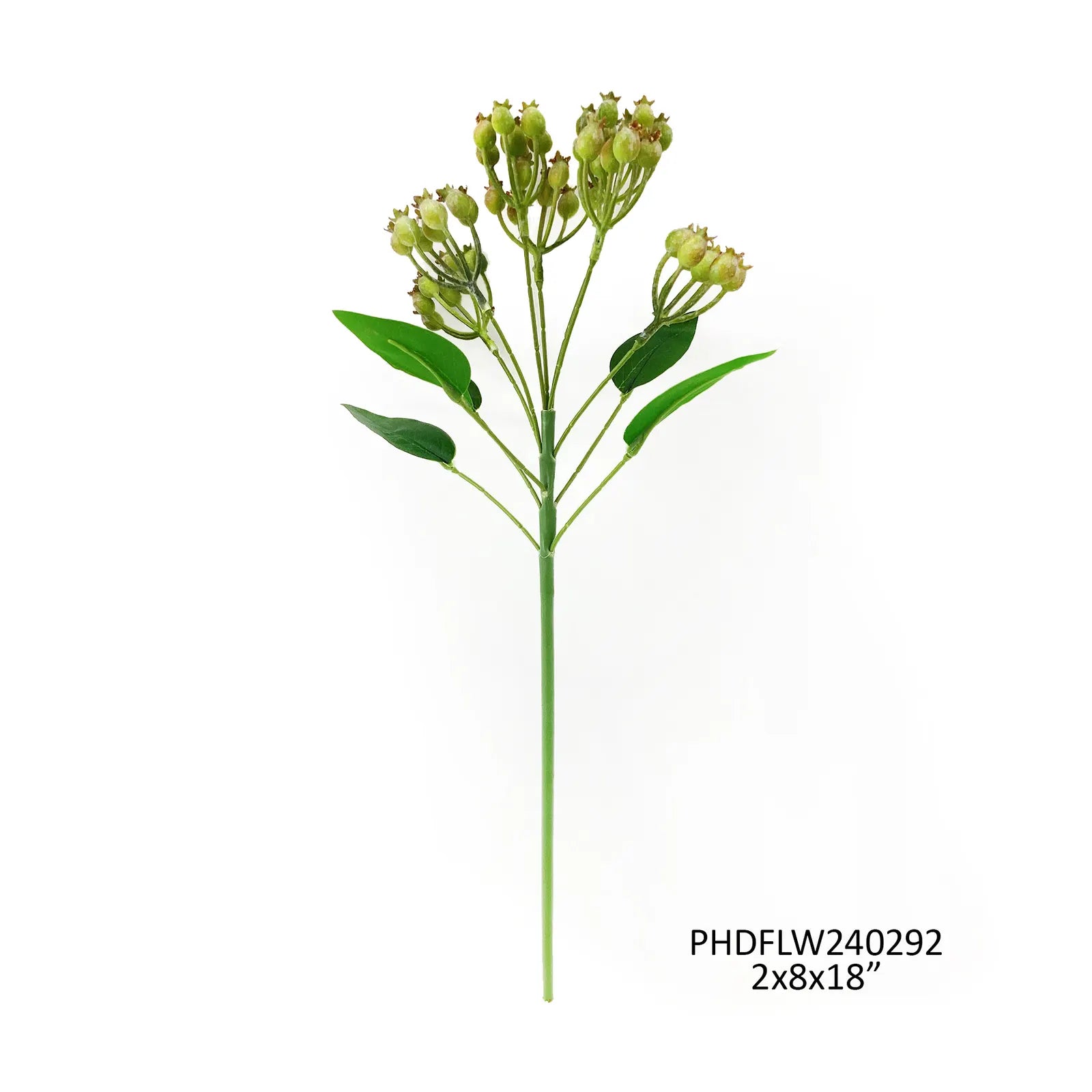 Green Rosehip