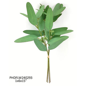 Ironbark Eucalyptus Bunch