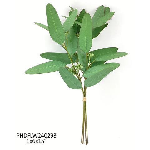 Ironbark Eucalyptus Bunch