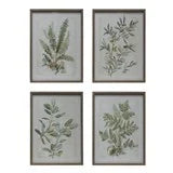 Botanical Prints