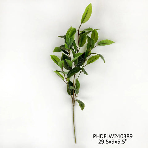 Osmanthus stem