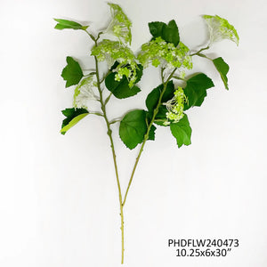 Woodland Viburnum Green