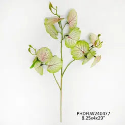 Meadow Vine Blush
