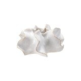Stoneware Planter
