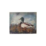 Duck Canvas