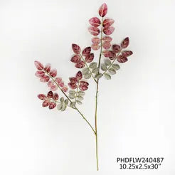 Loropetalum Burgundy