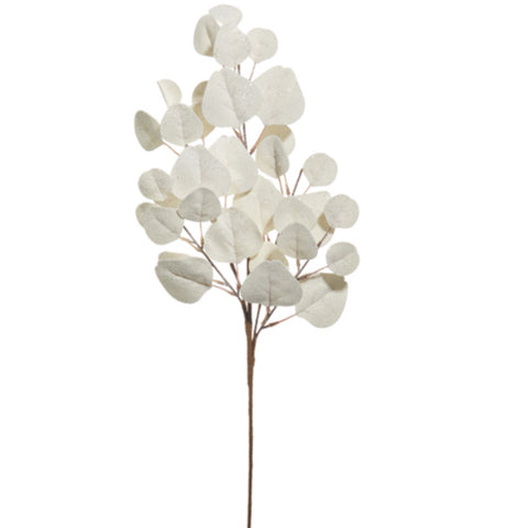 White Eucalyptus Spray