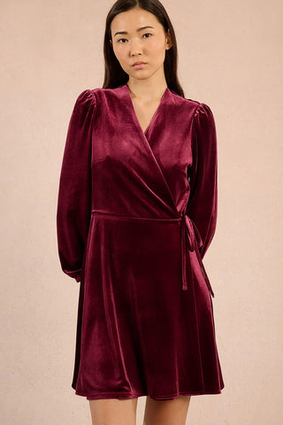 Velvet Dress