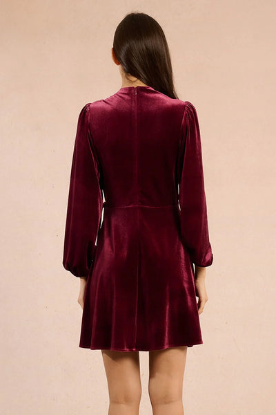 Velvet Dress