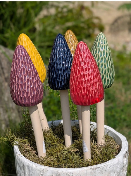 Morel Mushrooms 3 sizes