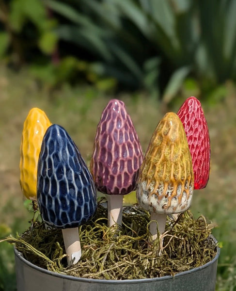 Morel Mushrooms 3 sizes