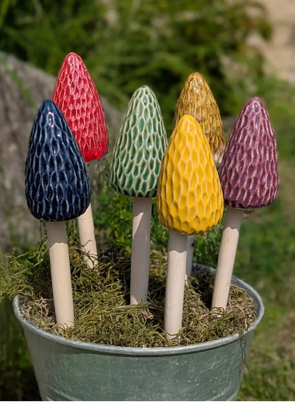 Morel Mushrooms 3 sizes