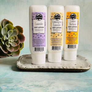 Hand and Body Lotion: Lavender