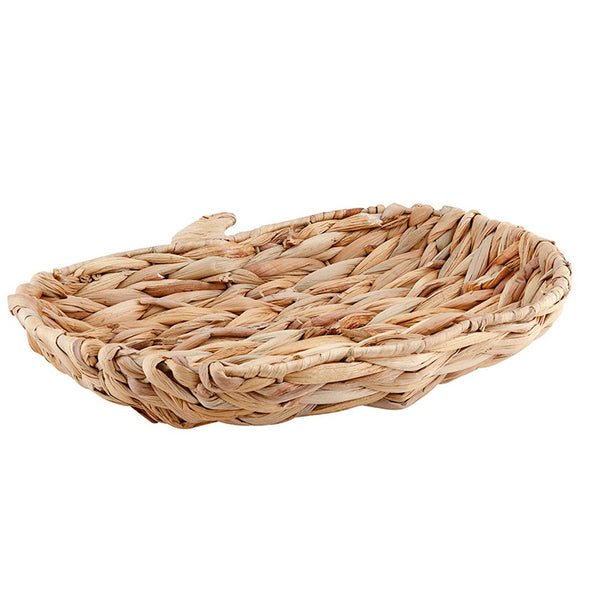 Hyacinth Pumpkin Tray: Hyacinth / 12" L x 11" W x 2" D