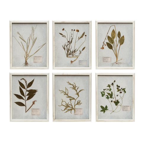 16" wood framed wall decor w/botanicals 6 styles