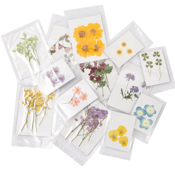 Pressed Botanical, 2 sizes