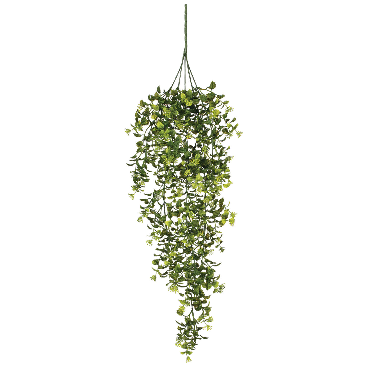 Boxwood/Berry Hanging Bush