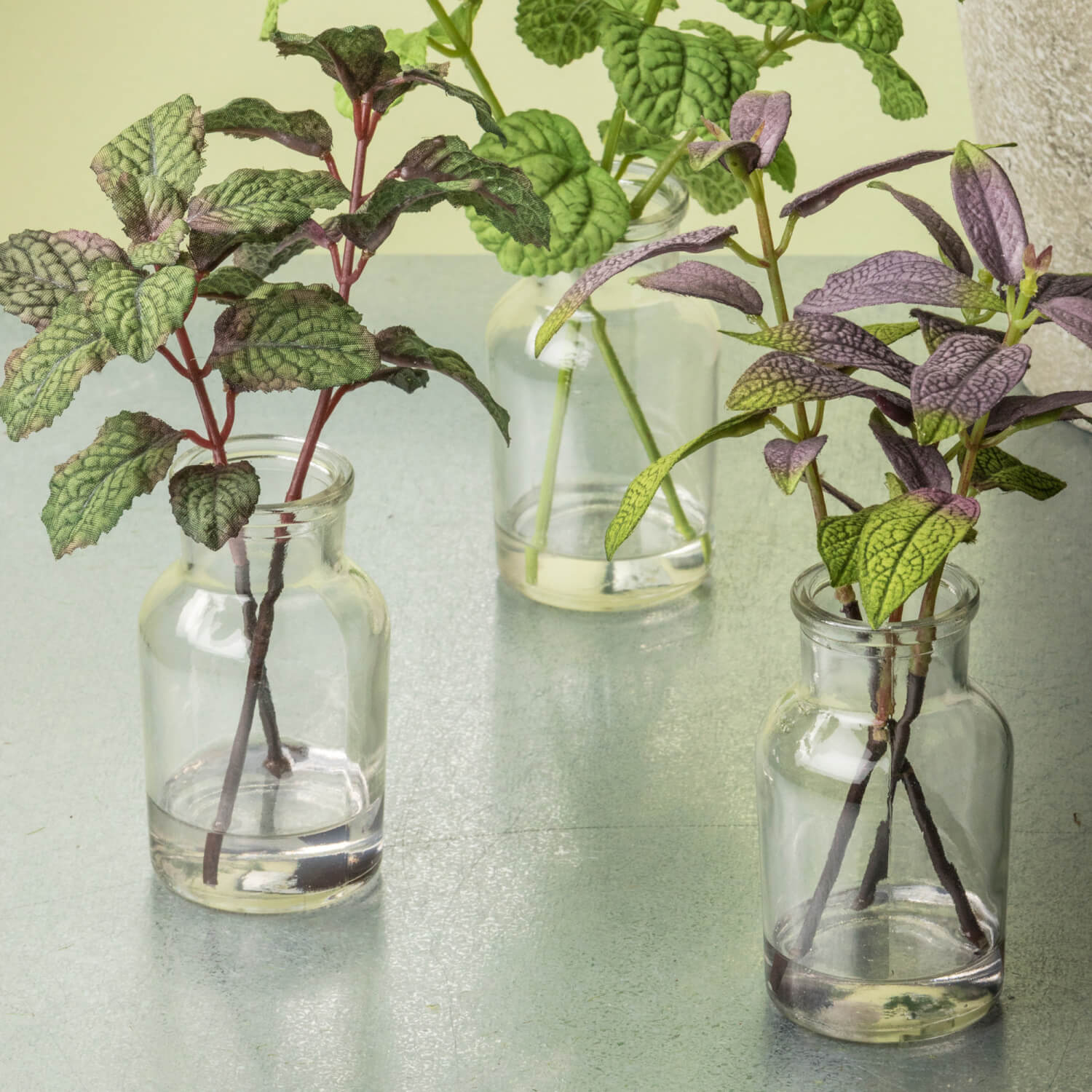 Bottle Potted Herbs