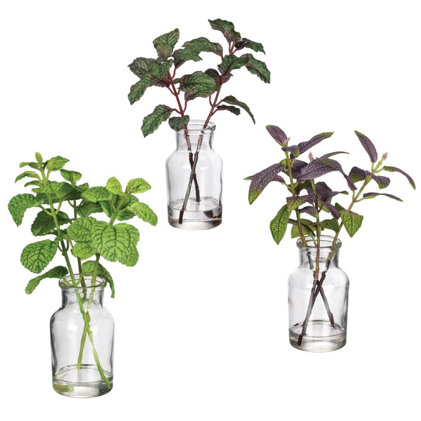 Bottle Potted Herbs