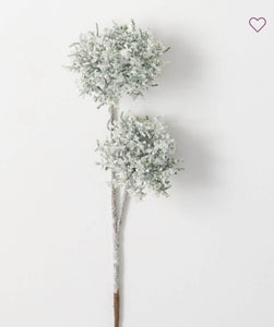 *Queen Anne Lace Spray