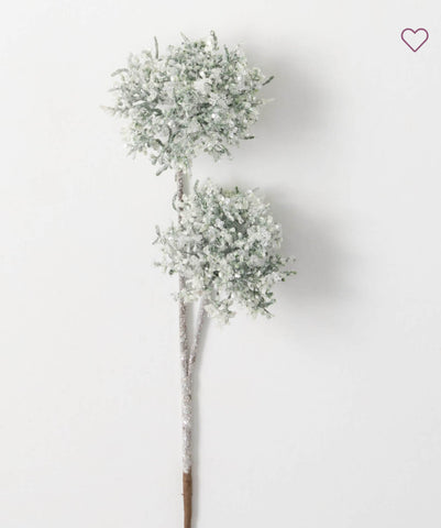 *Queen Anne Lace Spray