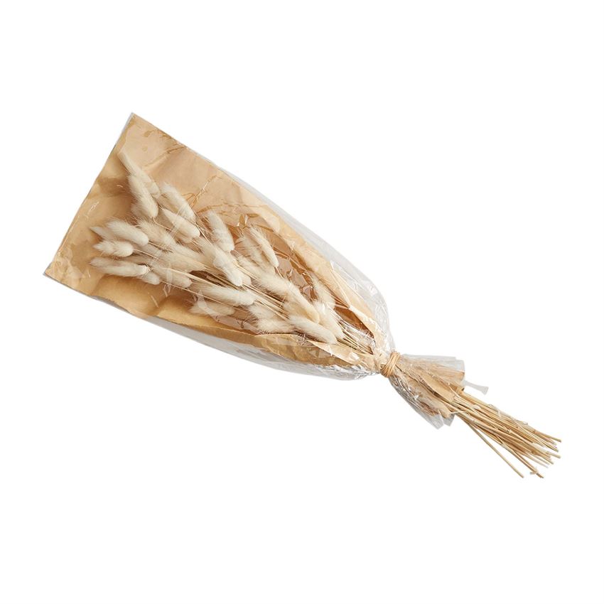 *Preserved Lagrus Grass