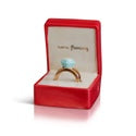 PUT A RING ON IT MINI TOPPER