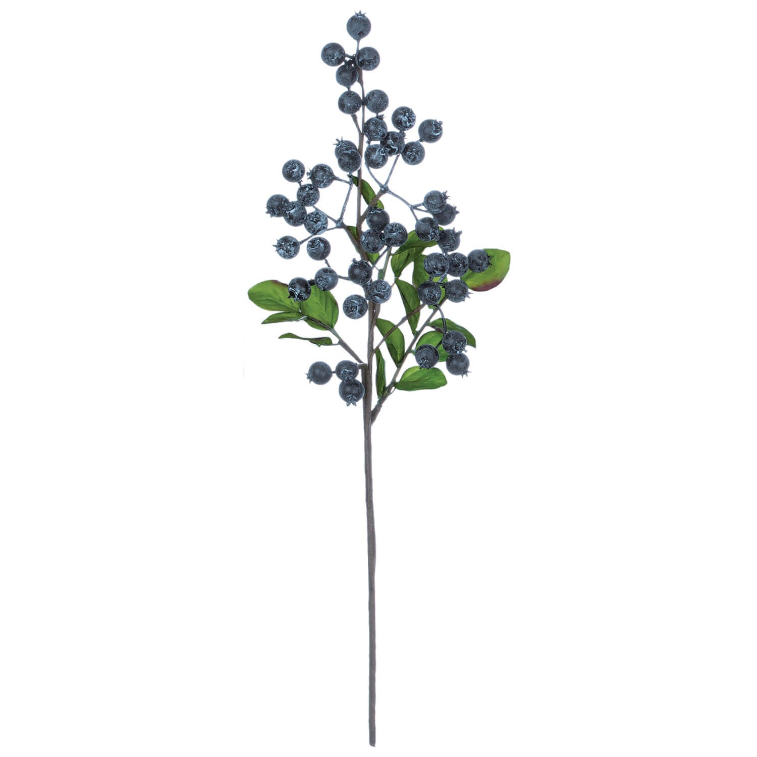 *BLUEBERRY PICK