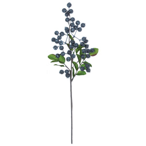 *BLUEBERRY PICK