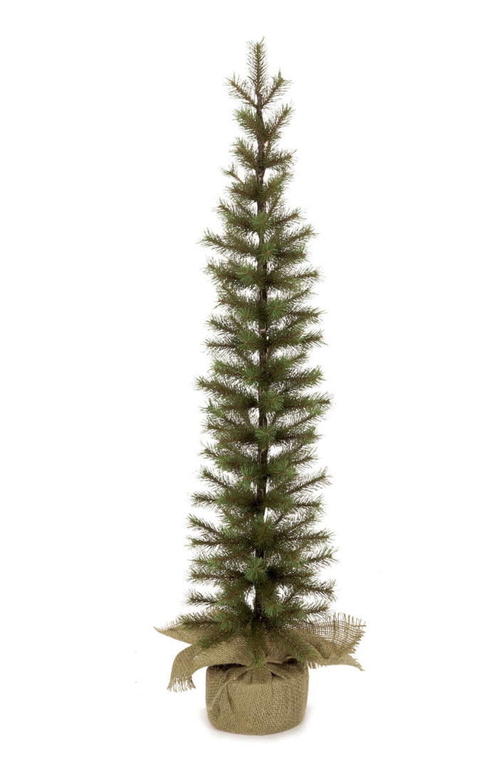 Needle Pencil Tree