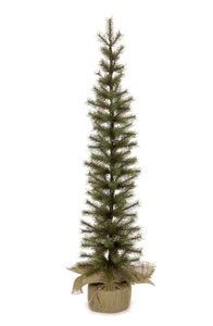 Needle Pencil Tree
